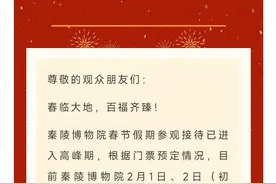 新春走基层｜兵马俑博物馆今早7点起排长龙迎客流高峰，游客：羽绒服的毛都挤出来了图片
