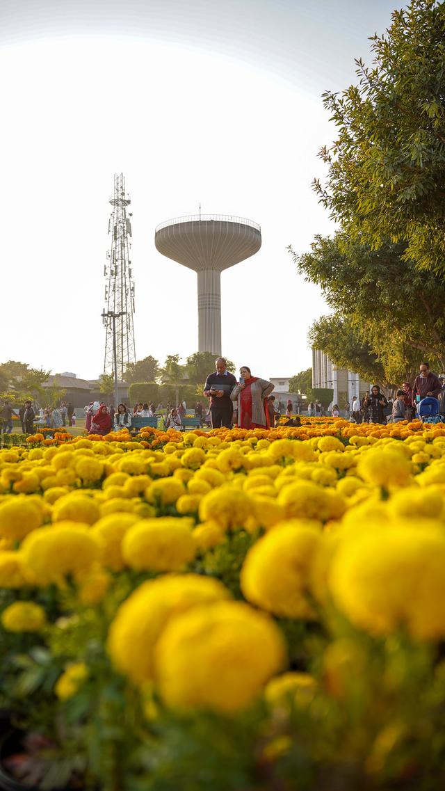 巴基斯坦伊斯兰堡:花团锦簇