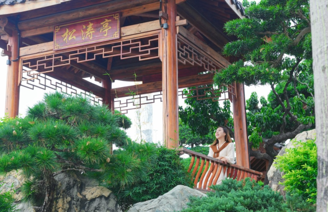 国庆就要玩好一点，“情”定陈村花花世界迷人眼