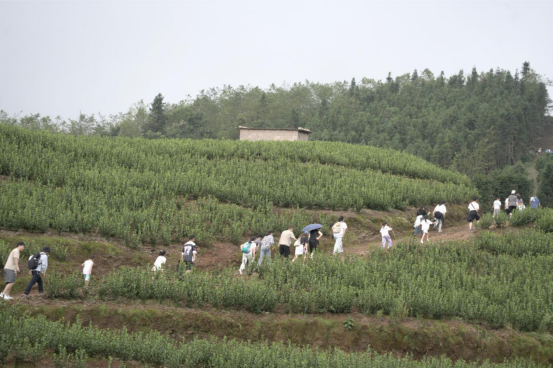 兴义市敬南镇白河村徒步活动举行