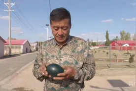 特色养殖有“钱”景  助农拓宽致富路图片