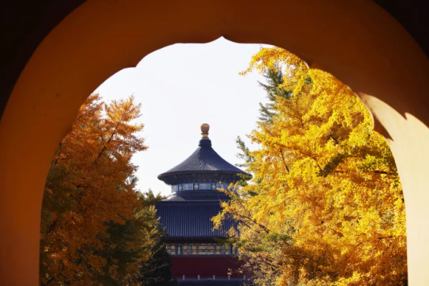 北京号最精彩｜85公顷！海淀这个大公园正式开园