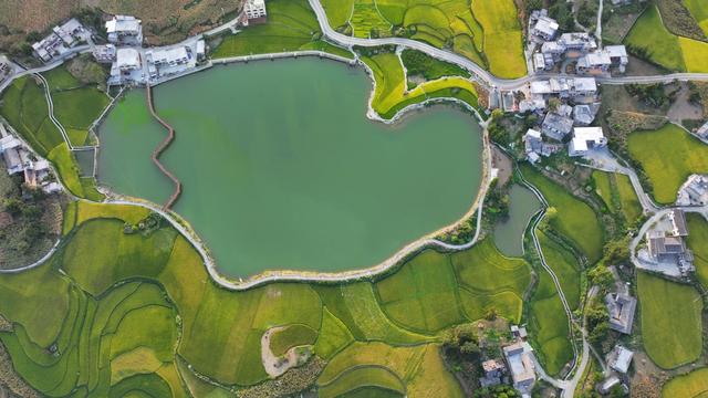 从“省花”提案到全域兴旺!百里杜鹃绘就旅游产业蓬勃发展“新图景”