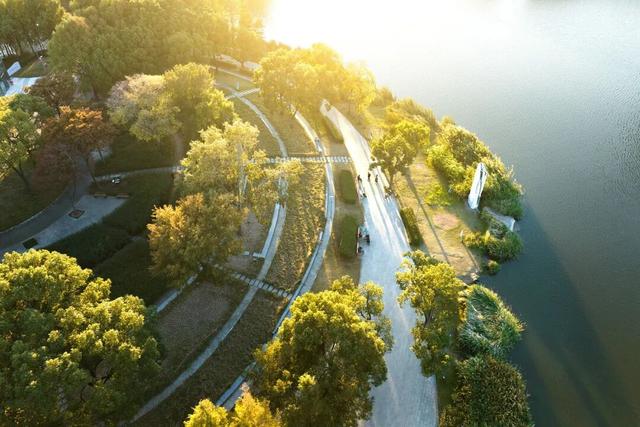 湖光金叶织秋韵