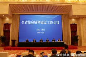 山东：新出让优质地块全部建高品质住宅，老房子也可变“好房子”图片