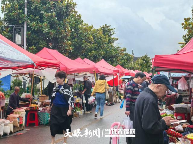 600余辆房车扎堆19℃的百里杜鹃避暑