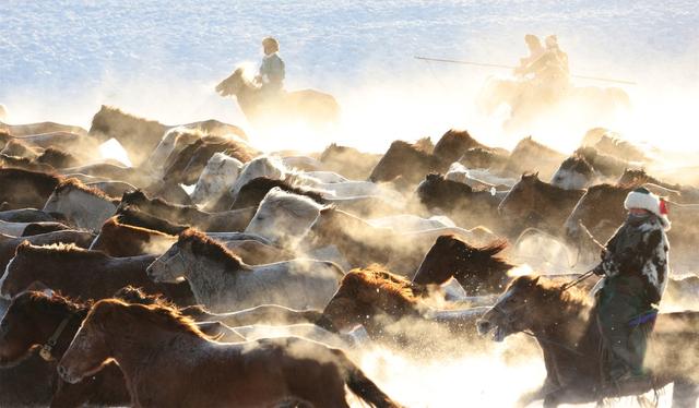 2026年乌兰布统马文化节开幕