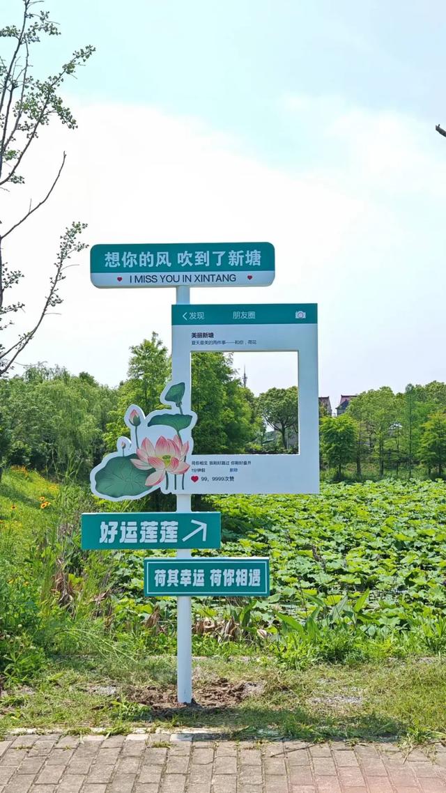 奉贤漫游指南：从海湾潮声到田园荷香，更有多重优惠