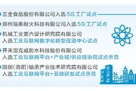 数实融合 向新而行丨河南省新增5个国家级工业互联网试点示范 “智慧大脑”让行业提“智”增效图片