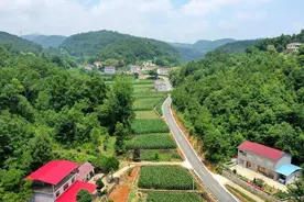 畅、安、洁、绿、美！保康老神线获评襄阳市“十大最美农村路”图片