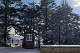 又下雪啦！最近的四川“全糖加冰”图片