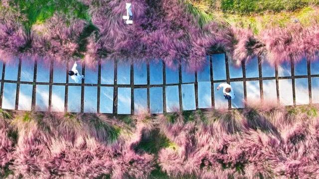 重返20°C+，洛阳极品好天气！速速出门！