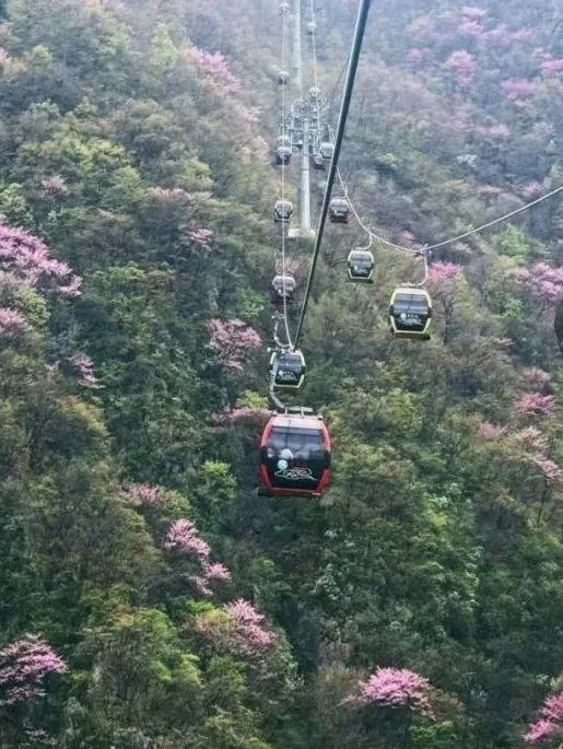 洛阳这些地方值得反复去，反复反复去... ...