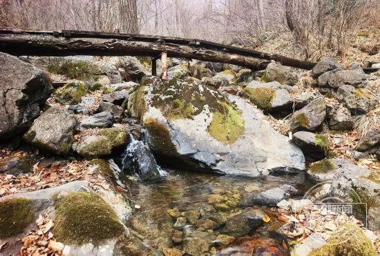 聚焦G334｜吉林第一高峰藏不住了！