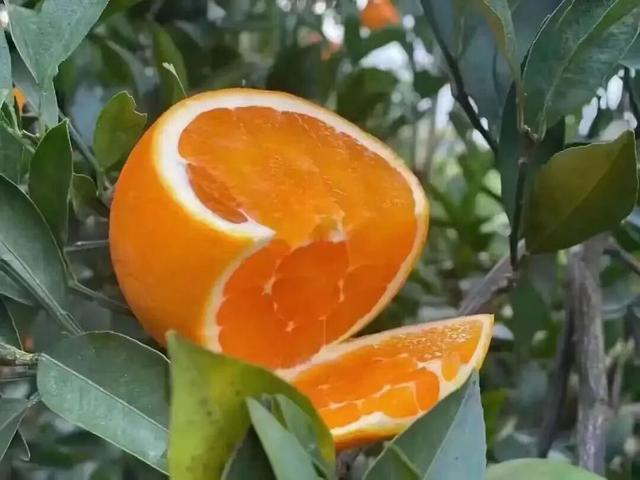 现在开抢！相约“祁遇季”，过有滋味的秋天