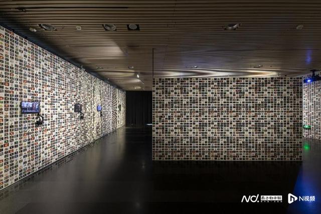 重思自然与人类的关系，展览“自然契约”登陆清华艺博