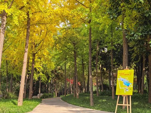 秋风引路入曲江，芙蓉金叶映红墙