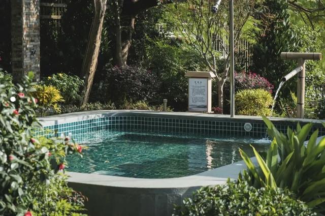 把冬天调成暖色系！松山湖落羽杉红了，温泉冒泡了，火锅沸腾了～