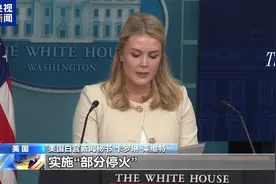 白宫争吵19天后美乌总统再通话，表面和气却难掩分歧图片