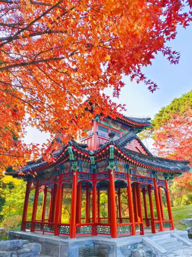 半城古典，半城浪漫！一叶知秋，一框载古今