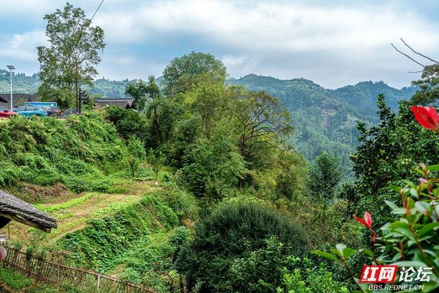 岁暖时刻｜白云深处有人家：藏在湘西山巅的原始苗寨