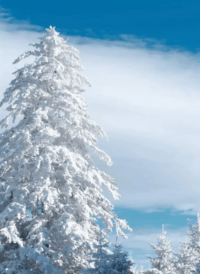 升咖版安图即将上线！N种冬日诗意美景等你打卡