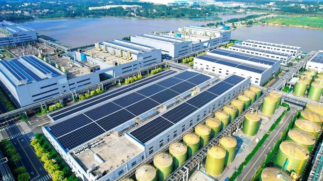 从“资源闭环”到“全球共生”  中伟股份探索新能源绿色发展路径