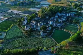 璧山：村网党建结对 服务乡村振兴图片
