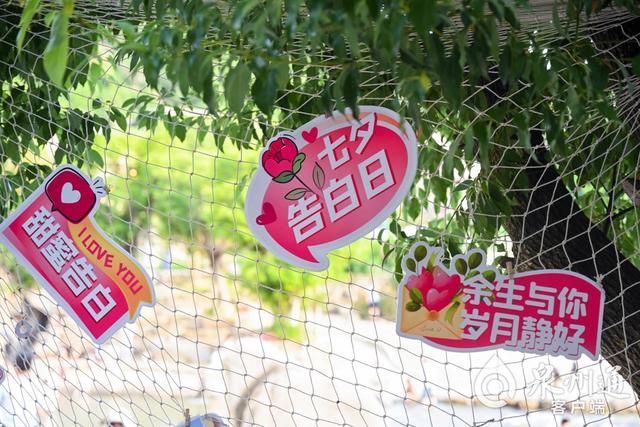 实景演出燃情鹊桥！安溪金谷溪岸七夕活动激活婚恋文旅新场景