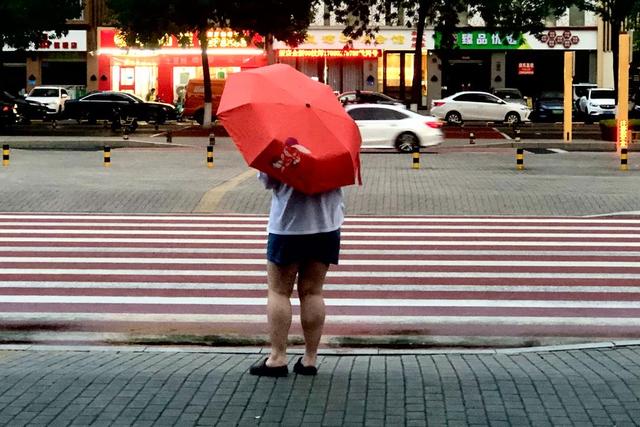 图集｜傍晚雨来