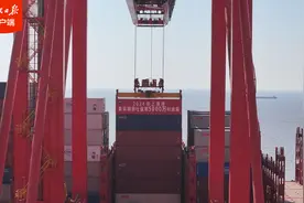 突破5000万标准箱！上海港年集装箱吞吐量再创世界纪录图片