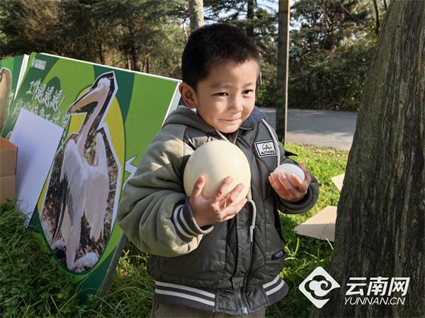 来云南野生动物园找新年“彩蛋”啦！