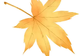 “携宠出游”成为新风尚，宠物友好酒店为宠主提供“友好服务”→图片