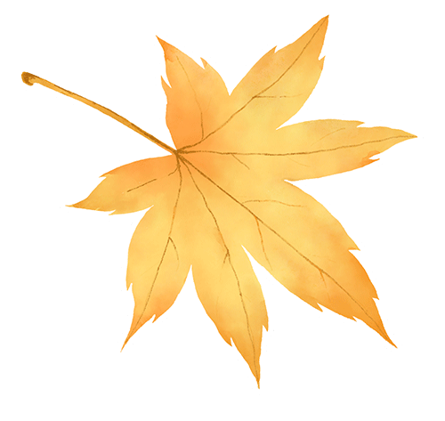 目前处于试开园阶段！占地超300亩！通州新添一个超美大公园！