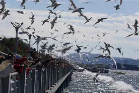 花地·大学文苑｜邵婷：怀念，但不说再见图片