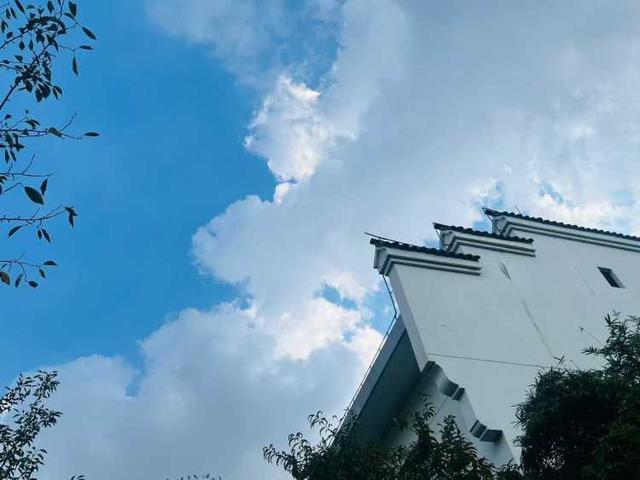 国庆长假8天：申城这些图书馆到馆几十万人次，博物馆有展览刚落幕，也有新展推出