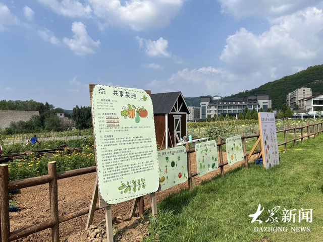 小村办起夏日生活艺术节，"篝火+烟花+音乐"点亮乡村夜经济