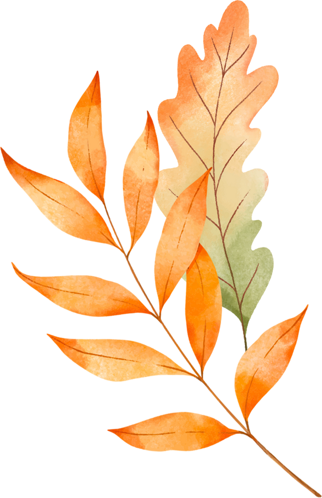 青春就要这“young”玩出“趣” | 在Citywalk中寻找同频“搭子”