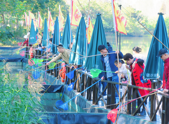 "我还要再来！"这个项目，98%的人去了都不想回家