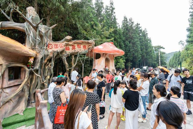 重庆四面山景区：清凉经济 火热出圈