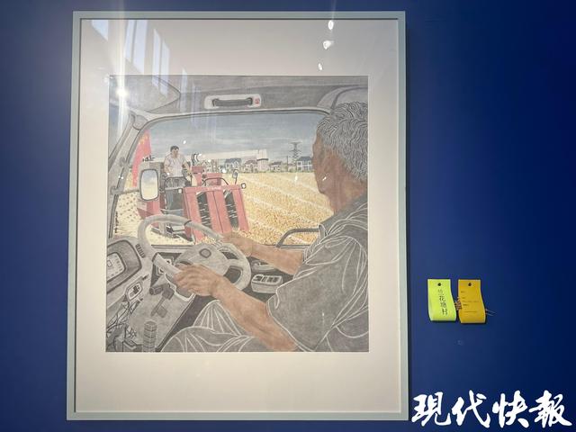 南京乡村有哪些美景？“稻浪与星辰”美丽乡村艺术展带你去打卡