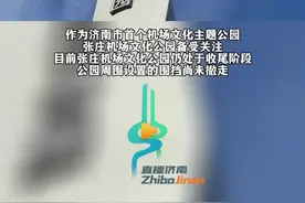 济南张庄机场文化主题公园进入收尾阶段，歼20等多架“飞机”亮相。图片