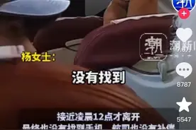乘客丢手机全飞机检查超一小时，律师：公民有义务配合检查图片