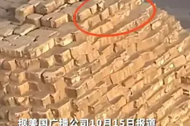 男子在埃及金字塔顶端发现一条狗图片