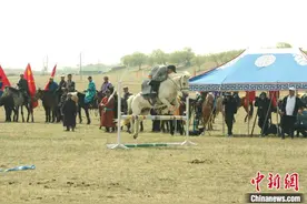 初夏锡林郭勒草原上的马背时刻图片