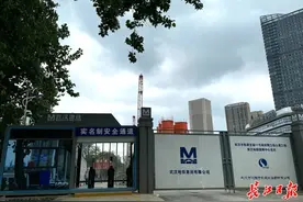 下一步基坑开挖！地铁11号线最新进展来了→图片