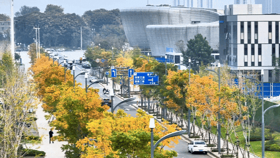 葛店这条“黄金大道”再不看就晚了！