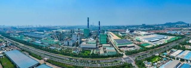 亚太森博12项科技成果通过专家评价