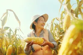 中原“丰”味丨河南各地秋收图景抢“鲜”上市！这些成语藏在其中图片