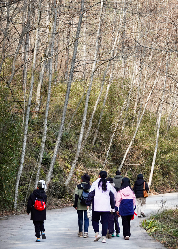 安逸四川 乐游绵阳 ‖ 9种方式，解锁宝藏平武~